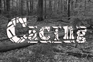 Cacing Font Review: A Funky Display Typeface for Bold Designs