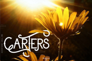 Carters Typeface for Modern Craft Branding