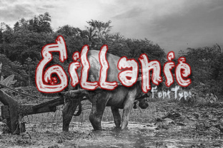 Gillanie Typeface for Modern Branding