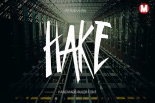 Hake: The Bold Display Typeface for Modern Brands