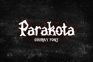 Parakota: The Display Typeface for Bold Branding