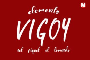 Vigoy: A Premium Display Font for Digital Branding